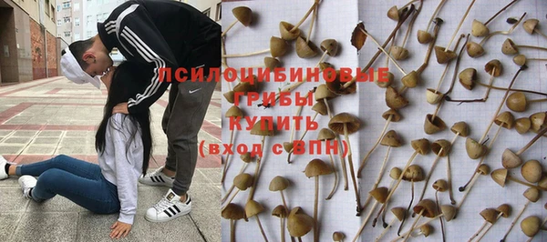 ALPHA-PVP Пестово