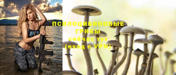 мет Переславль-Залесский