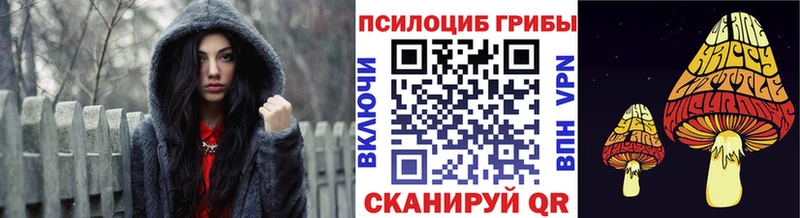 блэк спрут маркетплейс  Сольвычегодск  Псилоцибиновые грибы Psilocybe 
